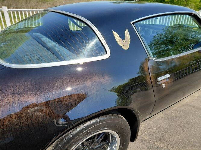 1979 Pontiac Trans Am