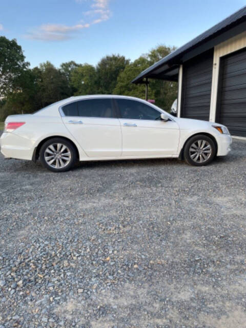 2011 Honda Accord for sale at Cove Creek Motors LLC in Damascus, AR