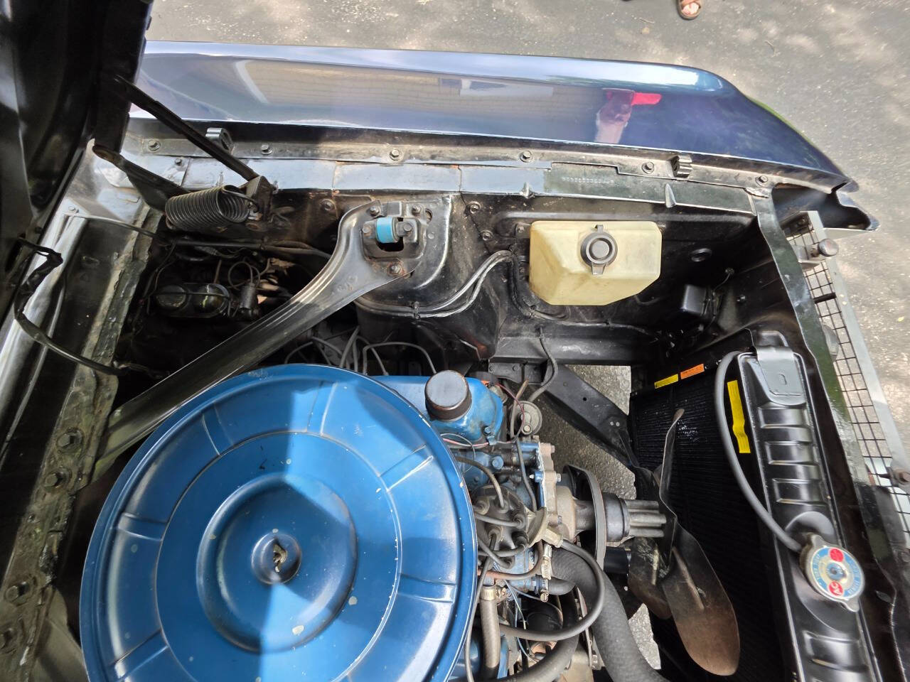 1967 Ford Mustang 206