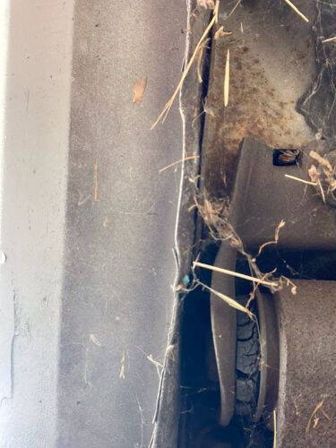 1975 Pontiac Firebird