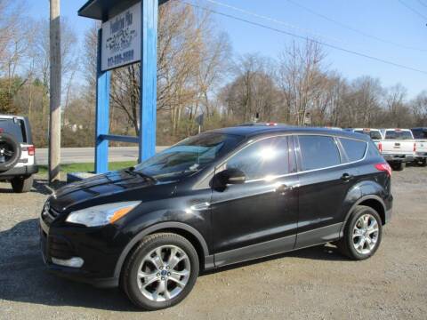 2013 Ford Escape for sale at PENDLETON PIKE AUTO SALES in Ingalls IN