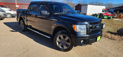 2014 Ford F-150 for sale at AJ's Autos in Parker SD