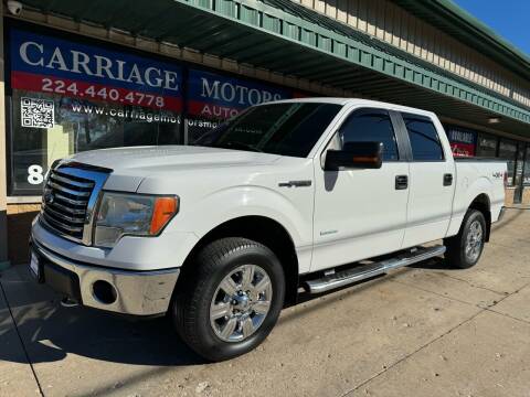 2011 Ford F-150 for sale at Carriage Motors LTD in Ingleside IL