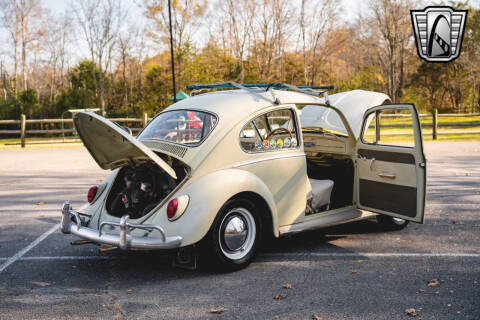 1965 Volkswagen Beetle