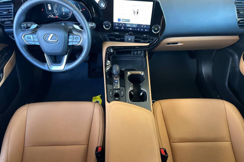 2025 Lexus NX 250 Premium
