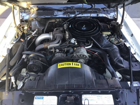 1981 Pontiac Firebird Trans Am