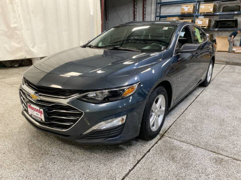 2019 Chevrolet Malibu for sale at Victoria Auto Sales in Victoria MN