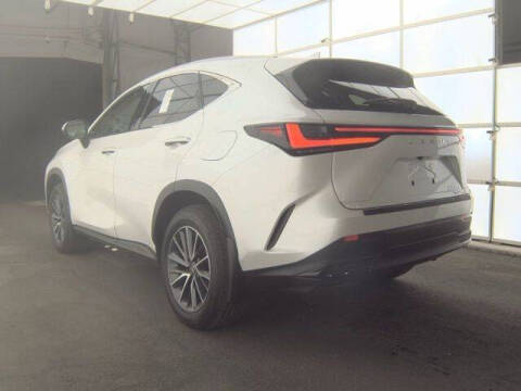 2024 Lexus NX 350 Premium