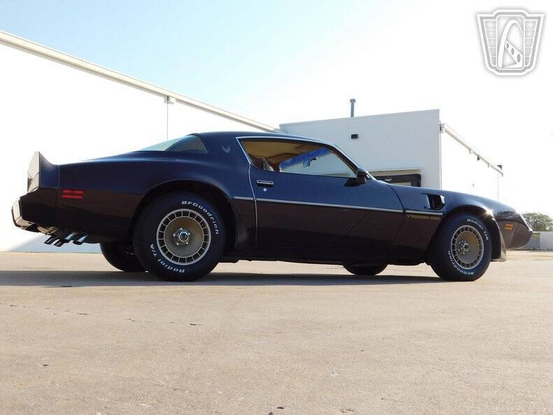 1981 Pontiac Firebird Trans Am