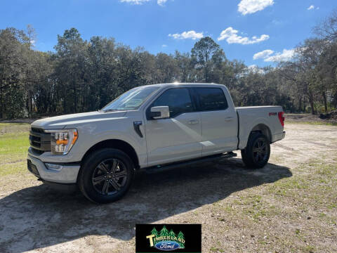 2023 Ford F-150 for sale at TIMBERLAND FORD in Perry FL