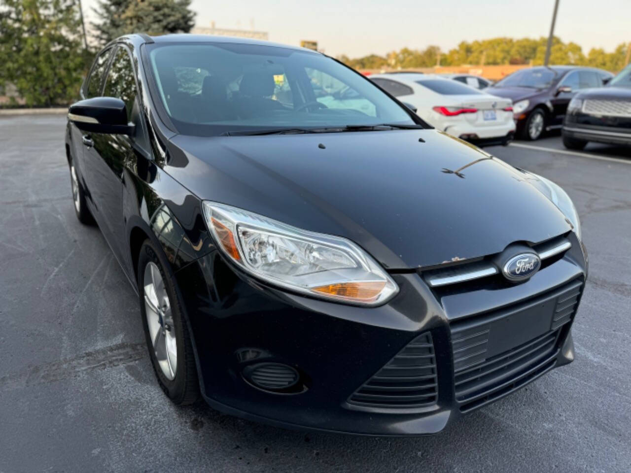 2014 Ford Focus for sale at Opus Motorcars in Utica, MI