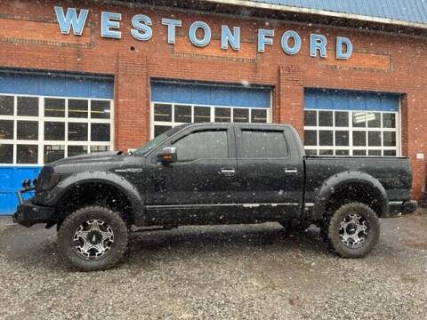 2010 Ford F-150 for sale at WESTON FORD  INC in Weston WV