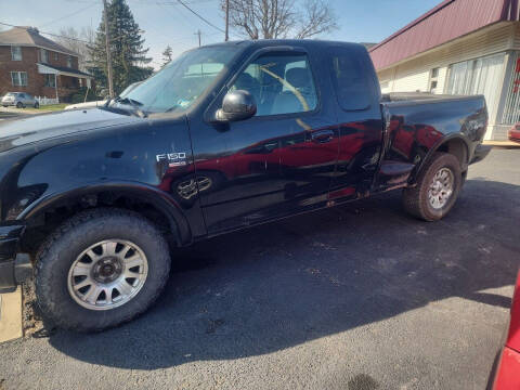 2003 Ford F-150 for sale at Maximum Auto Group II INC in Cortland OH