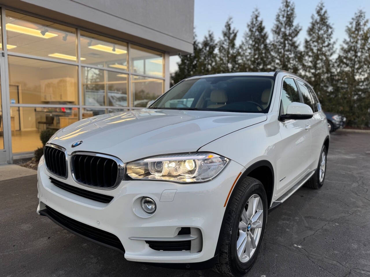 2014 BMW X5 for sale at Opus Motorcars in Utica, MI