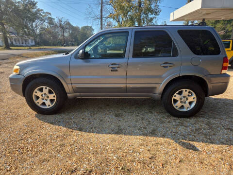 2007 Ford Escape Limited