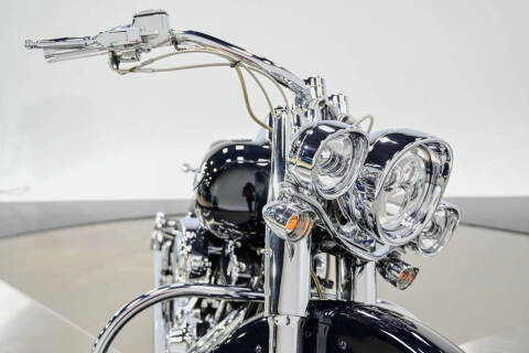 2009 Harley-Davidson FLTSN
