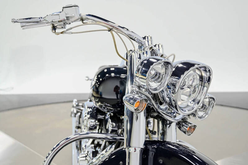 2009 Harley-Davidson FLTSN