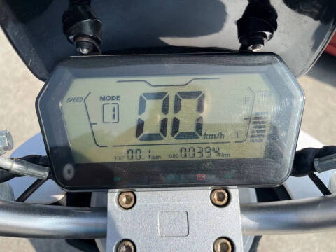2020 Zebra E-bike