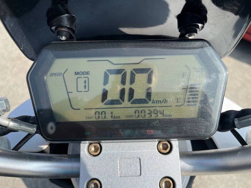 2020 Zebra E-bike