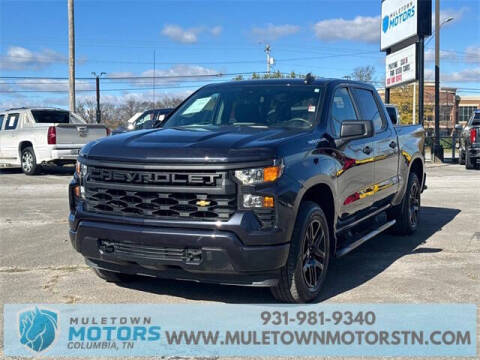 2022 Chevrolet Silverado 1500 for sale at Muletown Motors in Columbia TN