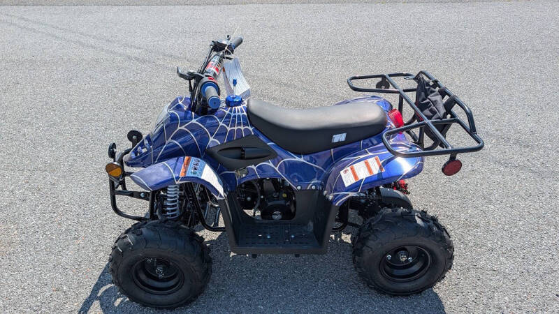 2025 TrailMaster Mini 110 Sport