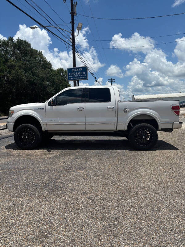 2014 Ford F-150 Platinum's photo