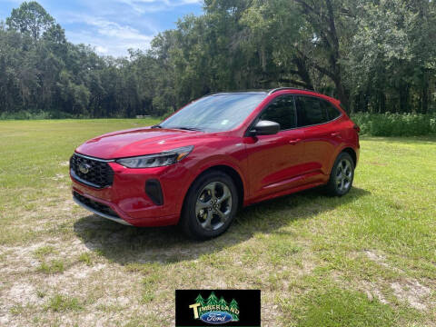 2023 Ford Escape for sale at TIMBERLAND FORD in Perry FL