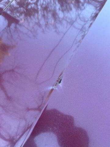 1983 Chevrolet El Camino