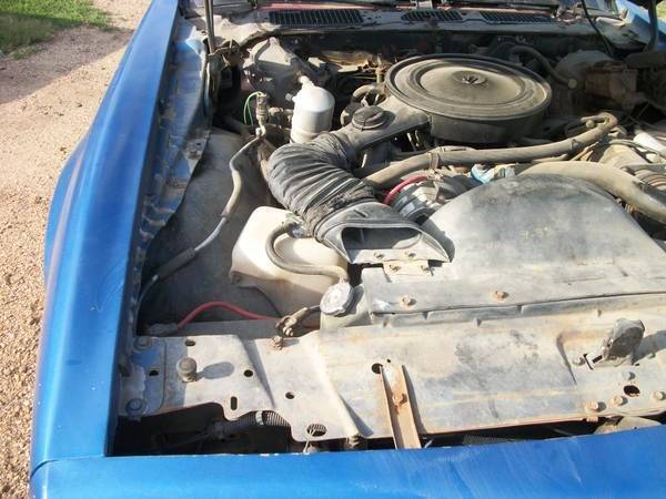 1978 Pontiac Firebird