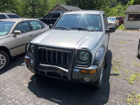 2003 Jeep Liberty for sale at Dirt Cheap Cars in Pottsville PA