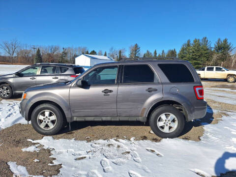 2009 Ford Escape for sale at Steve Winnie Auto Sales in Edmore MI