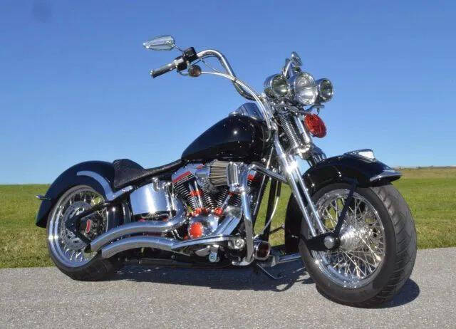 2002 Harley-Davidson FLSTS Heritage Springer