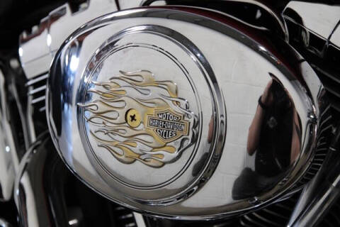 2002 Harley-Davidson SOFTAIL DE