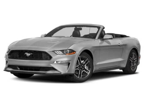 2019 Ford Mustang BULLITT