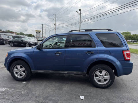 2010 Ford Escape XLT
