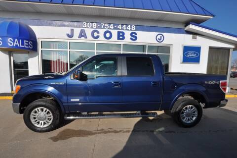 2011 Ford F-150 for sale at Jacobs Ford in Saint Paul NE