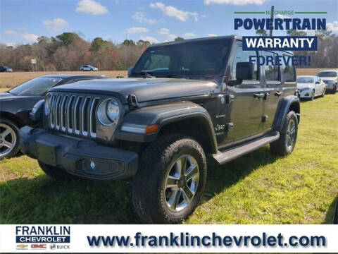 2019 Jeep Wrangler Unlimited for sale at FRANKLIN CHEVROLET CADILLAC in Statesboro GA