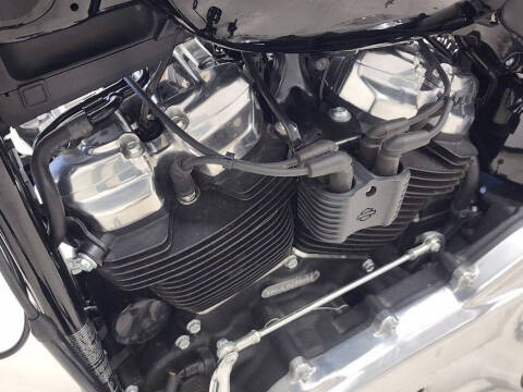 2020 Harley-Davidson Softail