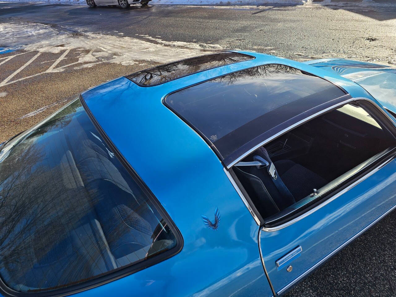 1980 Pontiac Firebird Trans Am 209