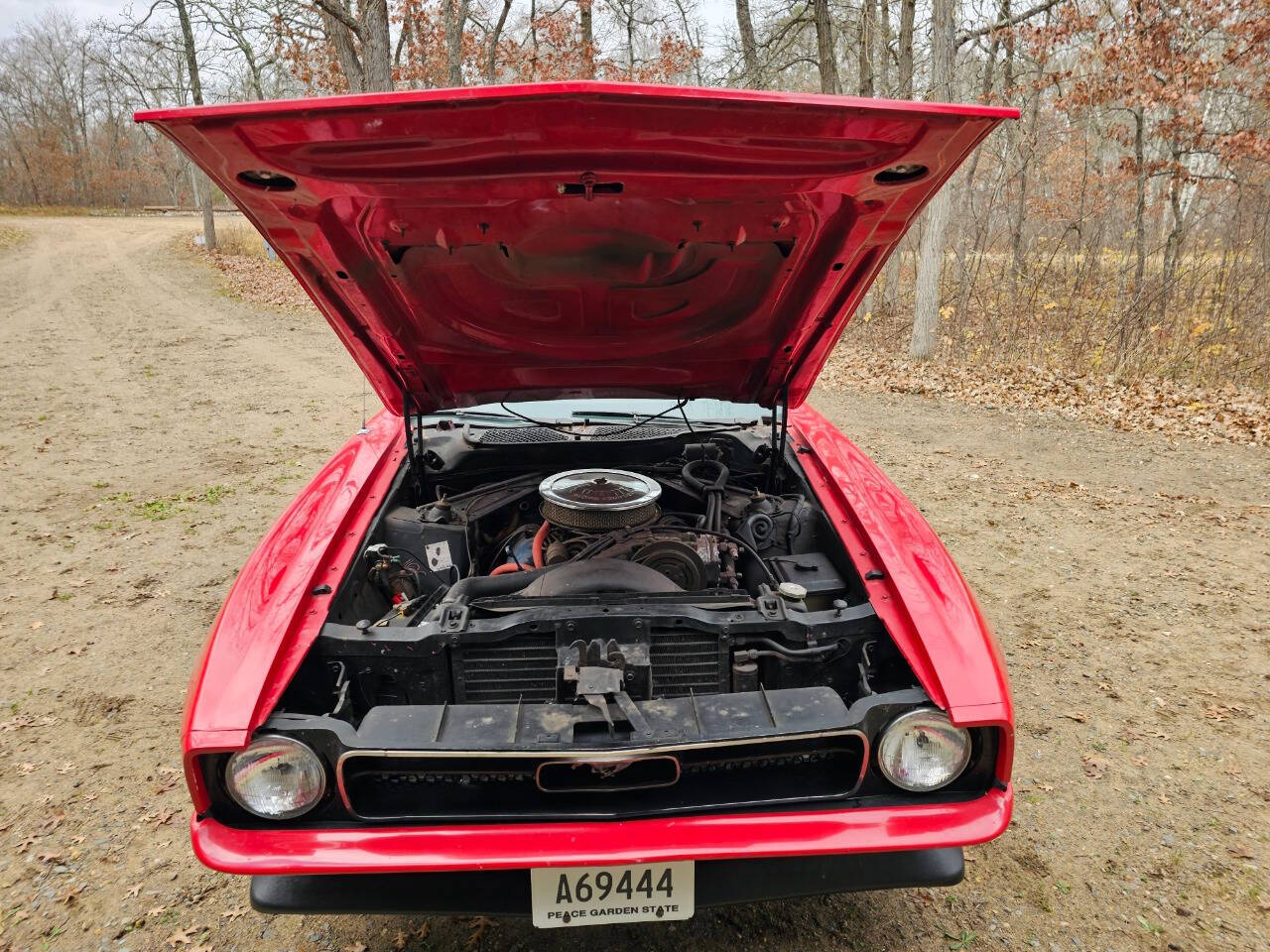 1971 Ford Mustang 177