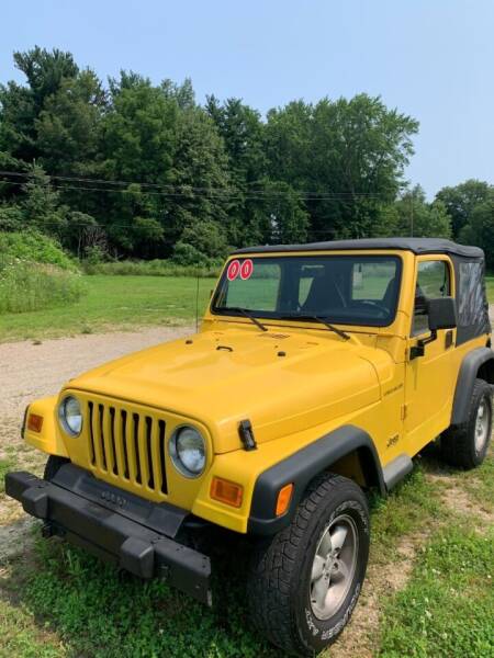 2000 Jeep Wrangler for sale at Hillside Motor Sales in Coldwater MI