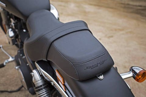 2016 Harley-Davidson Sportster 1200 Custom