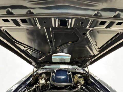 1981 Pontiac Firebird Trans Am