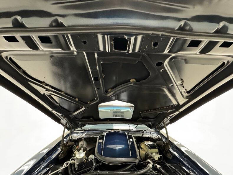 1981 Pontiac Firebird Trans Am