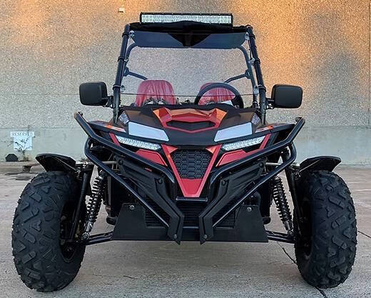 2026 TrailMaster Cheetah 300EX (EFI)