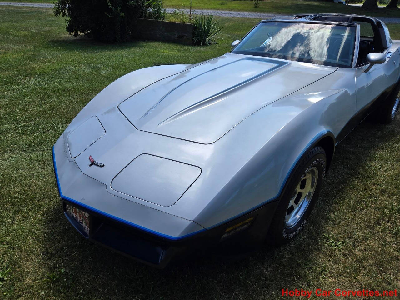 1981 Chevrolet Corvette 19