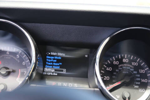 2015 Ford Mustang GT 50 Years Limited Edition