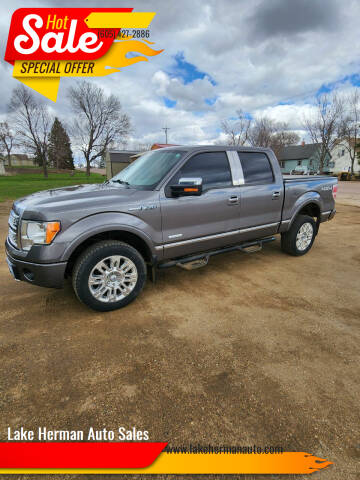 2012 Ford F-150 for sale at Lake Herman Auto Sales in Madison SD