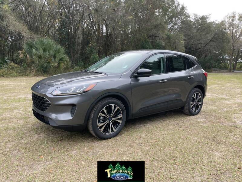 2022 Ford Escape for sale at TIMBERLAND FORD in Perry FL