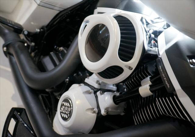 2020 Harley-Davidson Flse